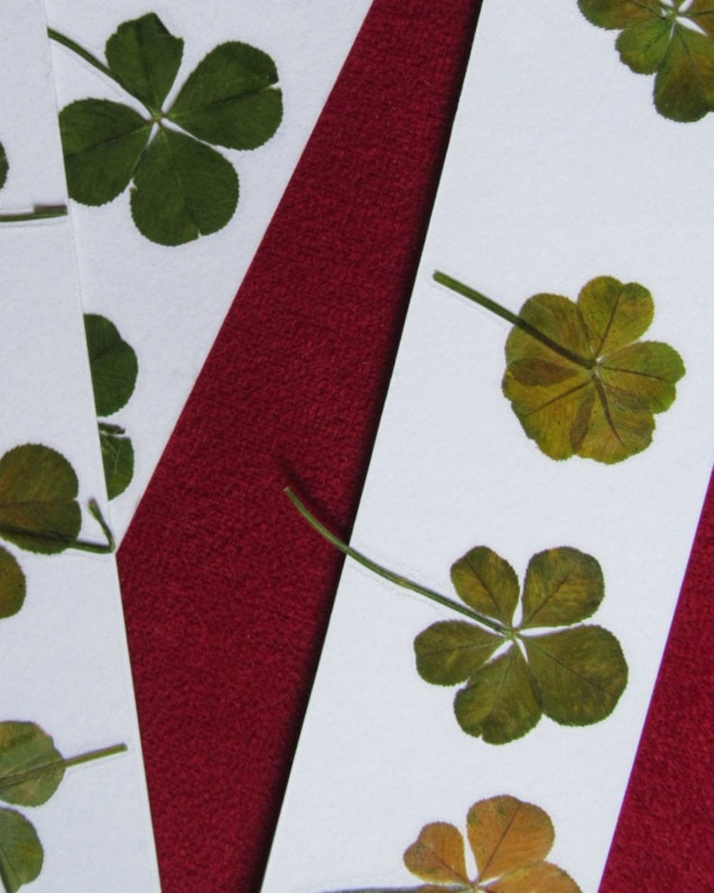 Le Trèfle à Cinq Feuilles Film RARE : un trèfle à 5 feuilles VÉRITABLE porte bonheur | Etsy