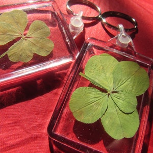 key ring with a lucky 5 or 4 leaf clover
