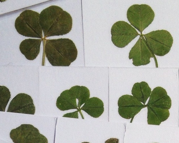 four leaf clover様 リクエスト 3点 まとめ商品 four leaf clover様 リクエスト 3点 まとめ商品 まとめ売り