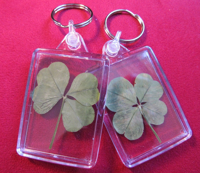 Porte-Clés Porte-Bonheur Trèfle à 4 Feuilles En Métal - Multicolore
