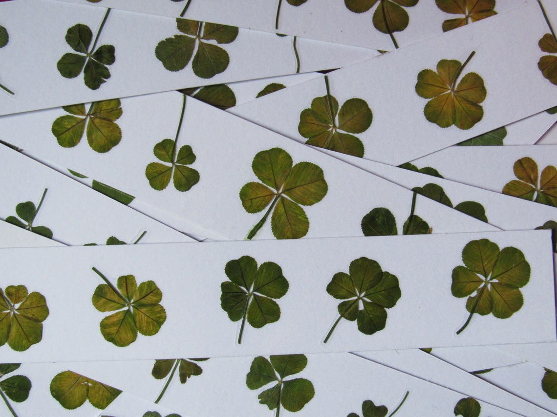 RARE un trèfle à 5 feuilles VÉRITABLE porte bonheur Etsy France