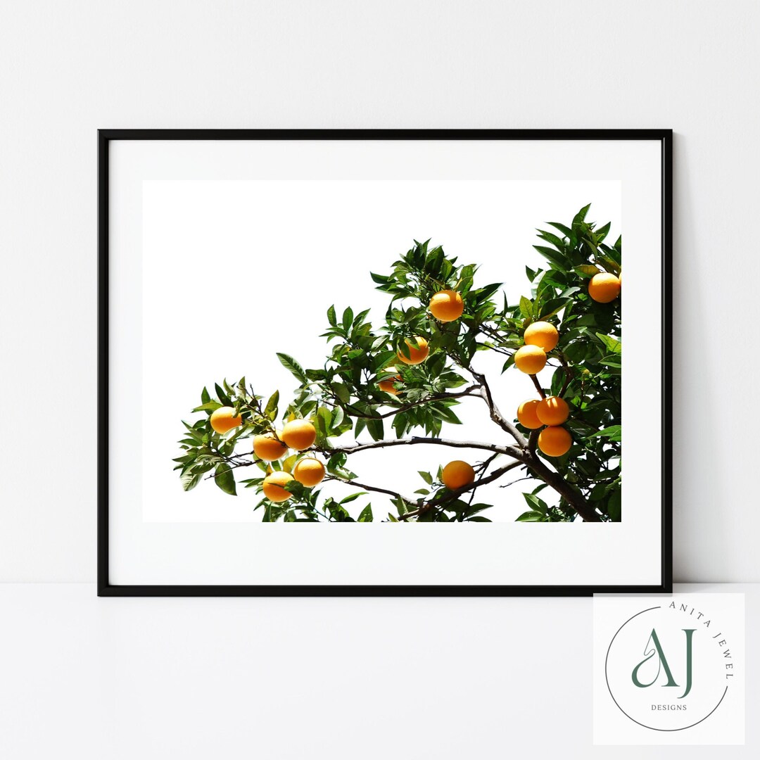 Oranges Orange Tree wall Art Digital Download Digital Etsy
