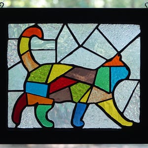 Colorful Cat