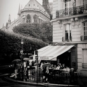 street corner, Notre Dame, Paris 2014.