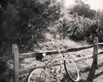 bicicleta, Avalon NJ 2016.