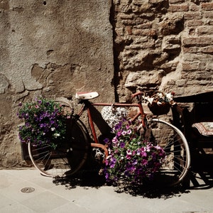flower bicycle, Castiglione del Lago, Italy 2019.