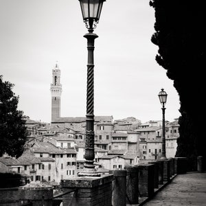 street lamp, Siena, Italy 2019.