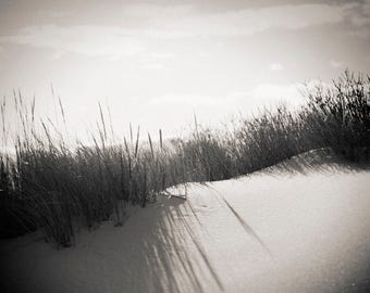 dunas, Avalon NJ 2016.
