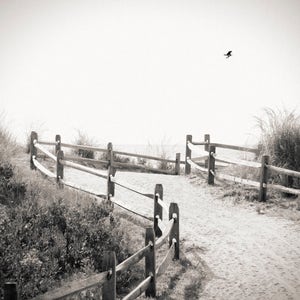 beach path, Avalon NJ 2016.