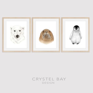 Artic & Antartica Animals - Set of 3 - Wall Decor, Nursery Art, Nursery Decor, Baby Shower, Polar Bear, Penguin, Walrus