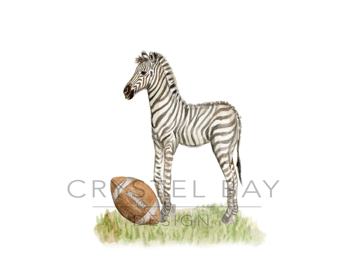 Zebra Playing Football Watercolor Wall Art Wall Decor Etsy