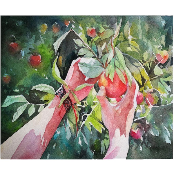 Call Me By Your Name - Elio from CMBYN with peaches -  giclee print of the original watercolor