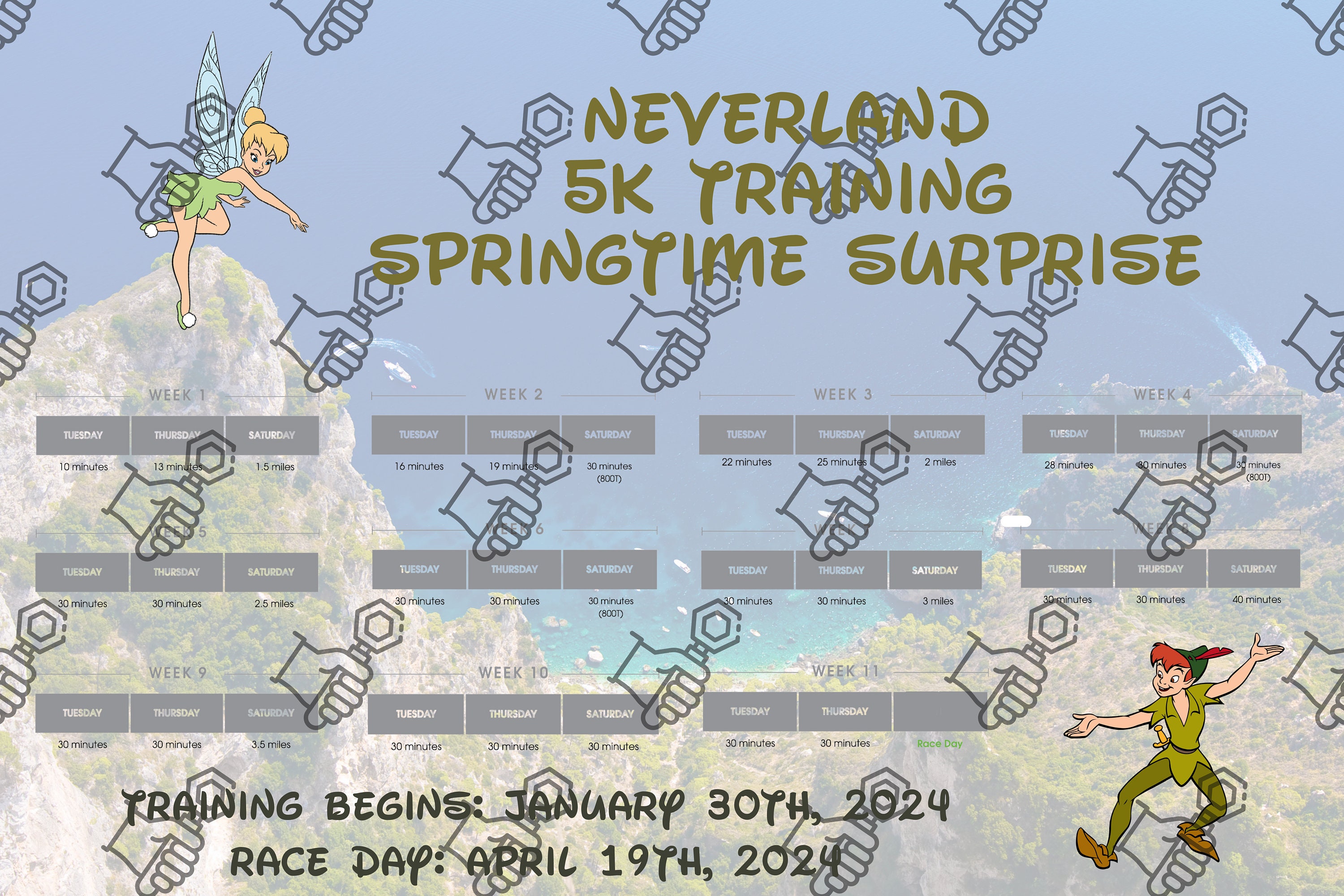 Rundisney Springtime Surprise Weekend Bibboards 