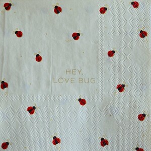 May include: A square paper napkin with an off-white background featuring a repeating pattern of small red and black ladybugs. The center of the napkin displays the text HEY, LOVE BUG in a simple, clean, gold-colored sans-serif font.