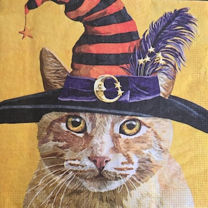 May include: A whimsical illustration of a cat wearing a witch's hat. The hat is black with orange and black stripes, a purple band, and a gold crescent moon. A purple feather and gold stars adorn the hat. The cat has orange and white fur and yellow eyes.