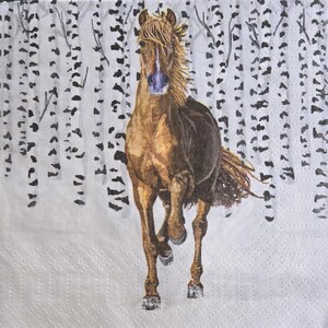 May include: A square paper napkin featuring a brown horse galloping forward. The horse has a light-colored mane and a white blaze on its face. The background depicts a forest of white birch trees with black markings on a light gray surface.