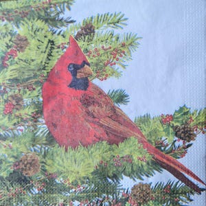 May include: A square paper napkin featuring a vibrant red cardinal bird perched among green pine branches, brown pinecones, and small red berries. The illustration is set against a light blue background, showcasing detailed textures of feathers and needles.