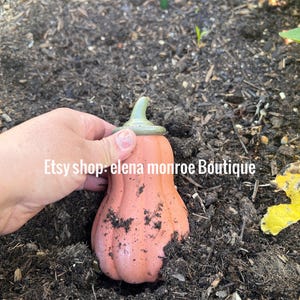 May include: A hand holds a small, terracotta-colored pumpkin with a green stem. The pumpkin is sitting in a bed of dark brown mulch. The text "Etsy shop: elena monroe Boutique" is visible in the image.
