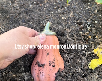 Olla de terracota, olla con forma de calabaza, autorriego, conservación del agua, jardín de hadas, estilo cottage core, cumpleaños, regadera, arte de jardín