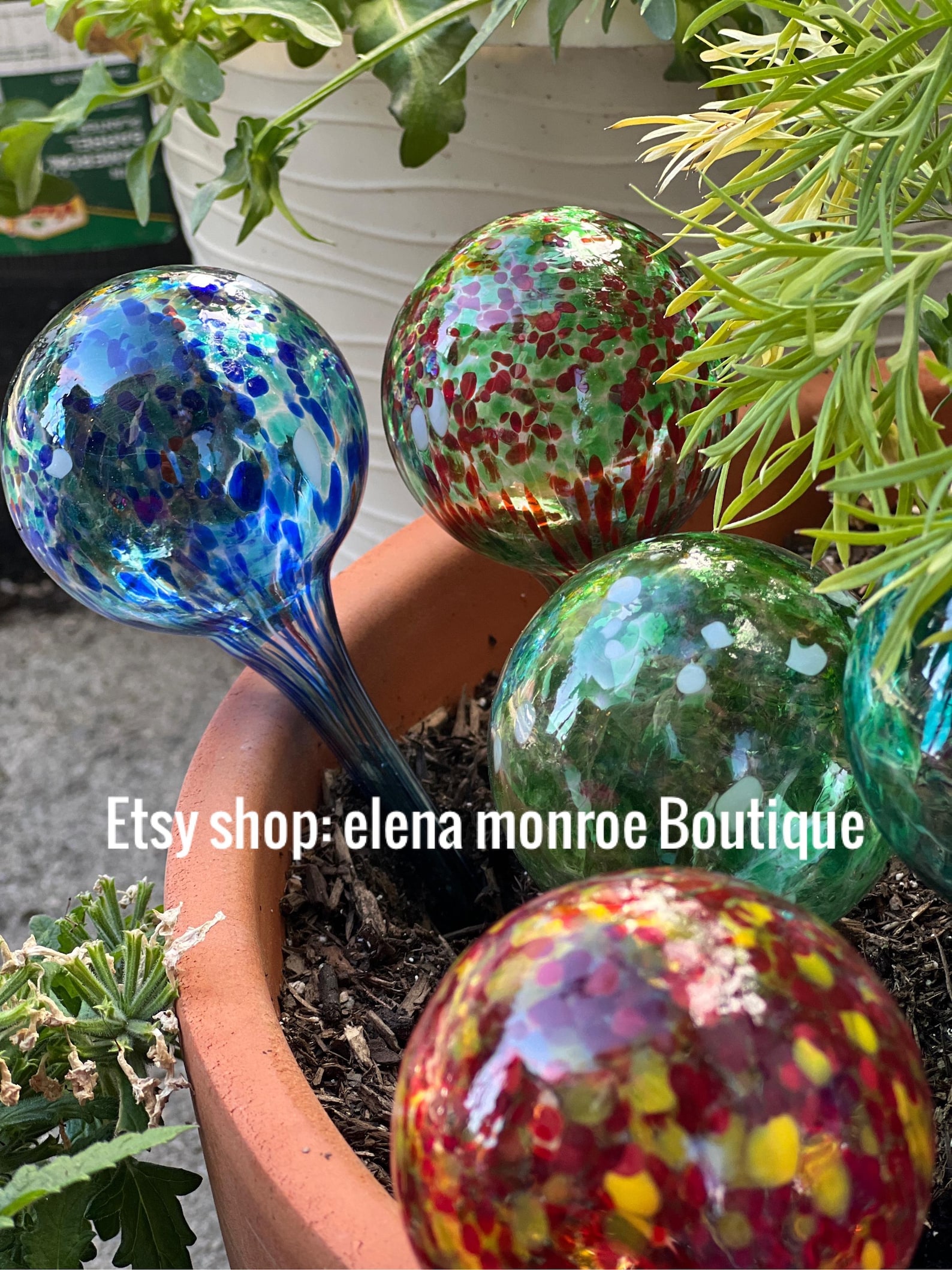 Blown Glass Watering Globe