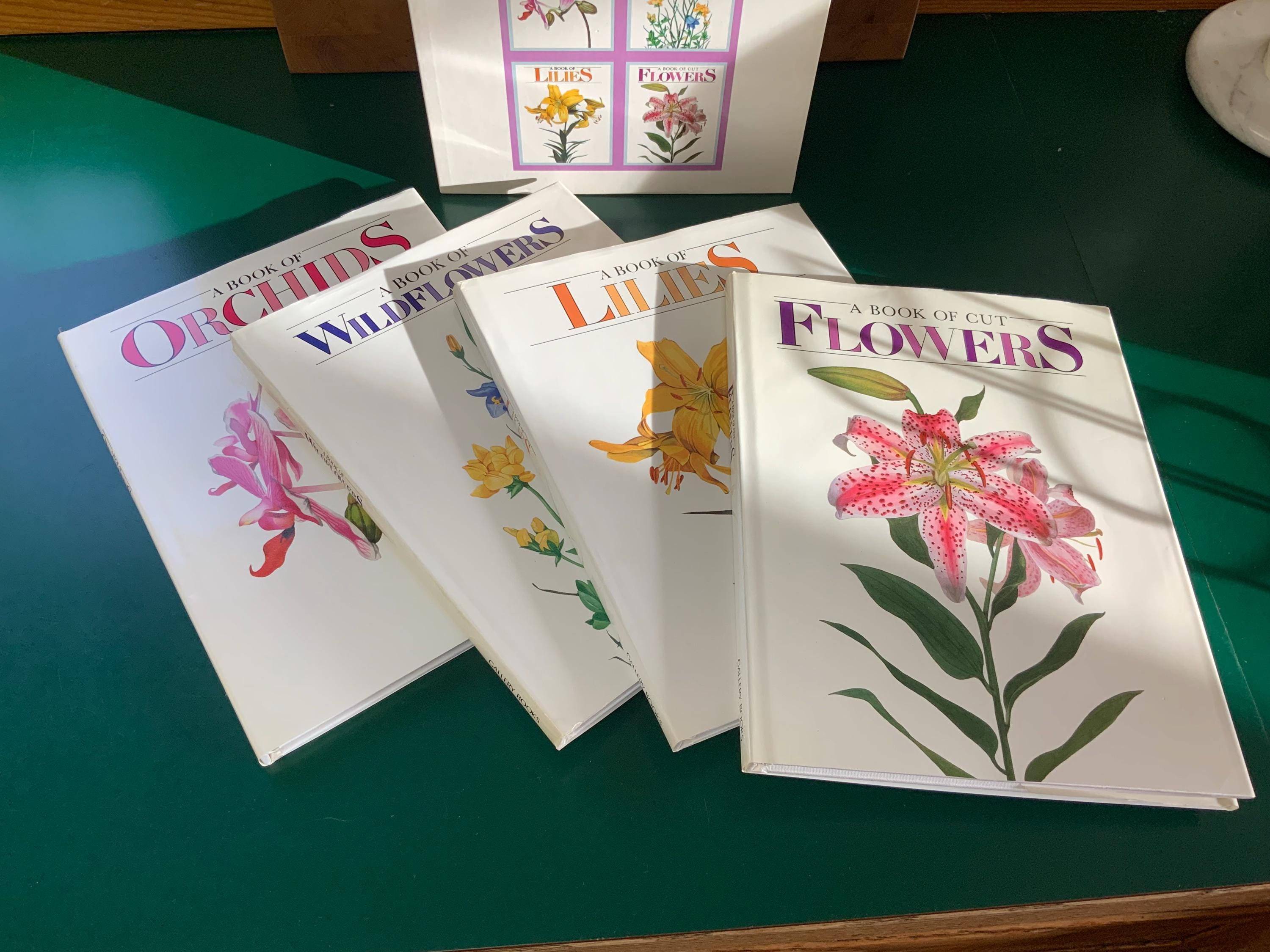 アート・デザイン・音楽 AN ILLUSTRATED TREASURY OF Orchids アート