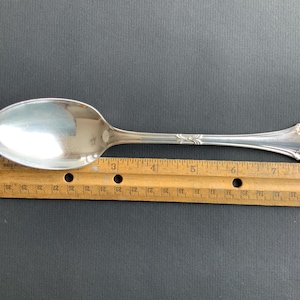 Sterling Silver Serving Spoon Pesa Nupical Scroll Pattern Rare Hard To Find Vintage Flatware Utensil 8.5 Inches 82 Grams
