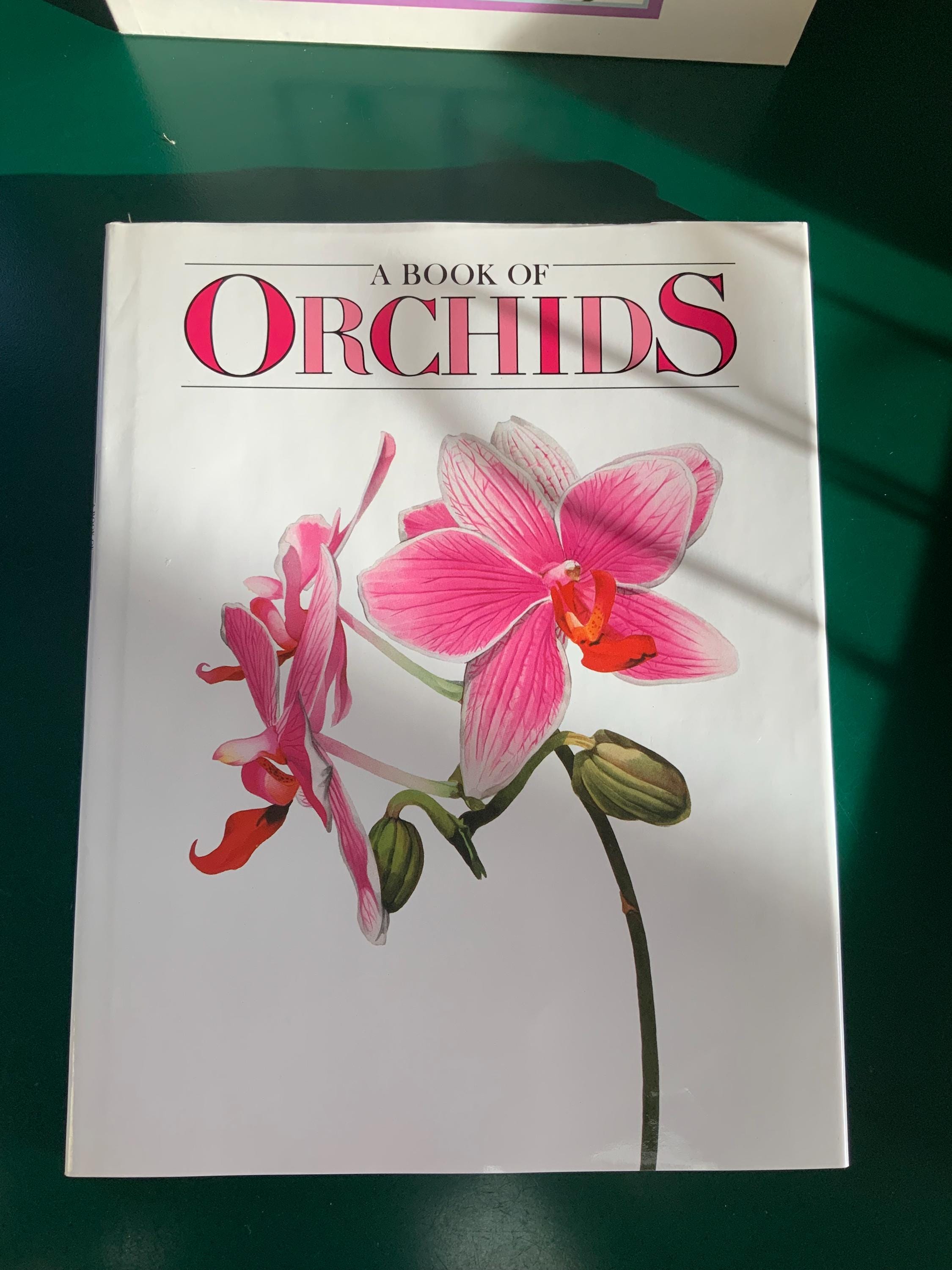 アート・デザイン・音楽 AN ILLUSTRATED TREASURY OF Orchids アート アート・デザイン・音楽 AN ILLUSTRATED TREASURY OF Orchids アート