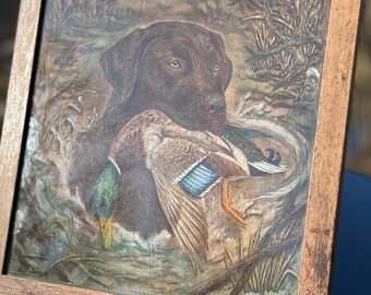 Engraved Birch Wood Art: Chocolate Lab Retrieving Duck, 12x12 Framed Acrylic Painting