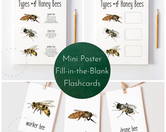 Types of Honey Bees Pack Digital Download / Honey Bee Printable, Honey Bee Flashcards, Bee Study, Types of Bees Worksheet, Bee Life Cycle