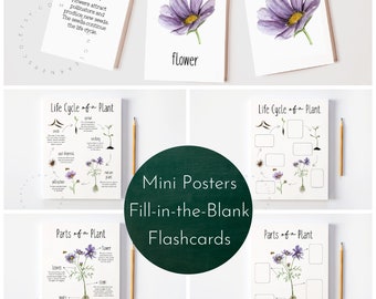 Plantbundel digitale download / delen van een plant-werkblad, levenscyclus van een plant afdrukbaar, plant-flashcards, plantendelen, levenscyclus van planten