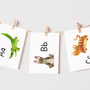 Dieren ABC-flashcards Afdrukbare/alfabetkaarten, letter van de week, ABC-kaarten leren, ABC-kaarten, dieren ABC-kaarten, cirkeltijd Flashcard