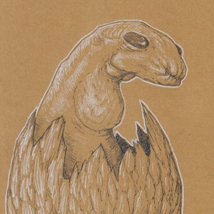 Puede incluir: Un dibujo en blanco y negro a pluma y tinta de una criatura saliendo de un huevo. La criatura tiene un cuello largo y una cabeza grande con un solo ojo. El huevo está roto y la criatura está emergiendo de la cáscara.