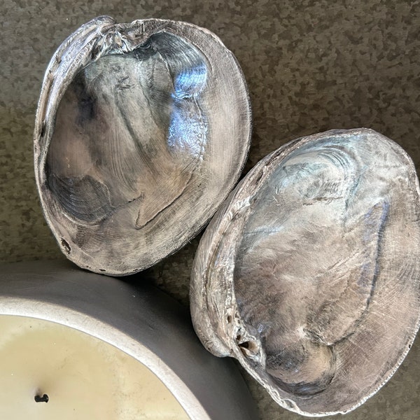 Shell Soap Dish Etsy