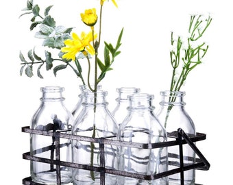 Mason Jar Flower Vases Decorative Glass Bottles Set with Metal Basket (Set of 6)