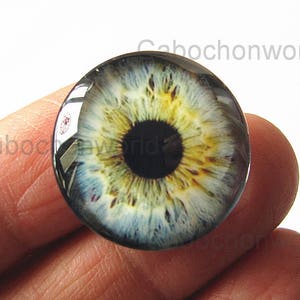 Eye Ball Cabochon Circle  Photo Glass Round Dome Flat Back 8mm 10mm 12mm 14mm 16mm 18mm 20mm 25mm 30mm CW578