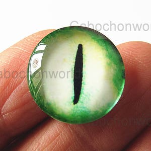 Dragon Eye Cabochon Circle  Photo Glass Round Dome Flat Back 8mm 10mm 12mm 14mm 16mm 18mm 20mm 25mm 30mm CW552