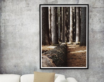 Fallen Tree Print | Forest Poster | Wall Art Print