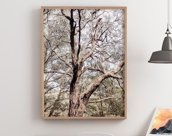 May include: A framed photograph of a tree with branches reaching up towards the sky. The photo is hanging on a white wall above a wooden desk with a laptop and a white chair.