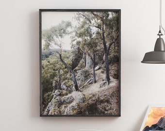 Trees on Edge Print | Nature Poster | Wall Art Print | Australia Landscape Print