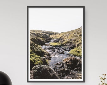 Australian Nature Photography Print, Tea Tree Creek Wall Art, Fotografía de paisajes, Mornington Peninsula, Victoria