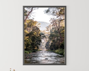 May include: A photograph of a river flowing through a lush green forest. The river is calm and clear, and the trees are tall and dense. The sun is shining through the trees, creating a warm and inviting atmosphere.