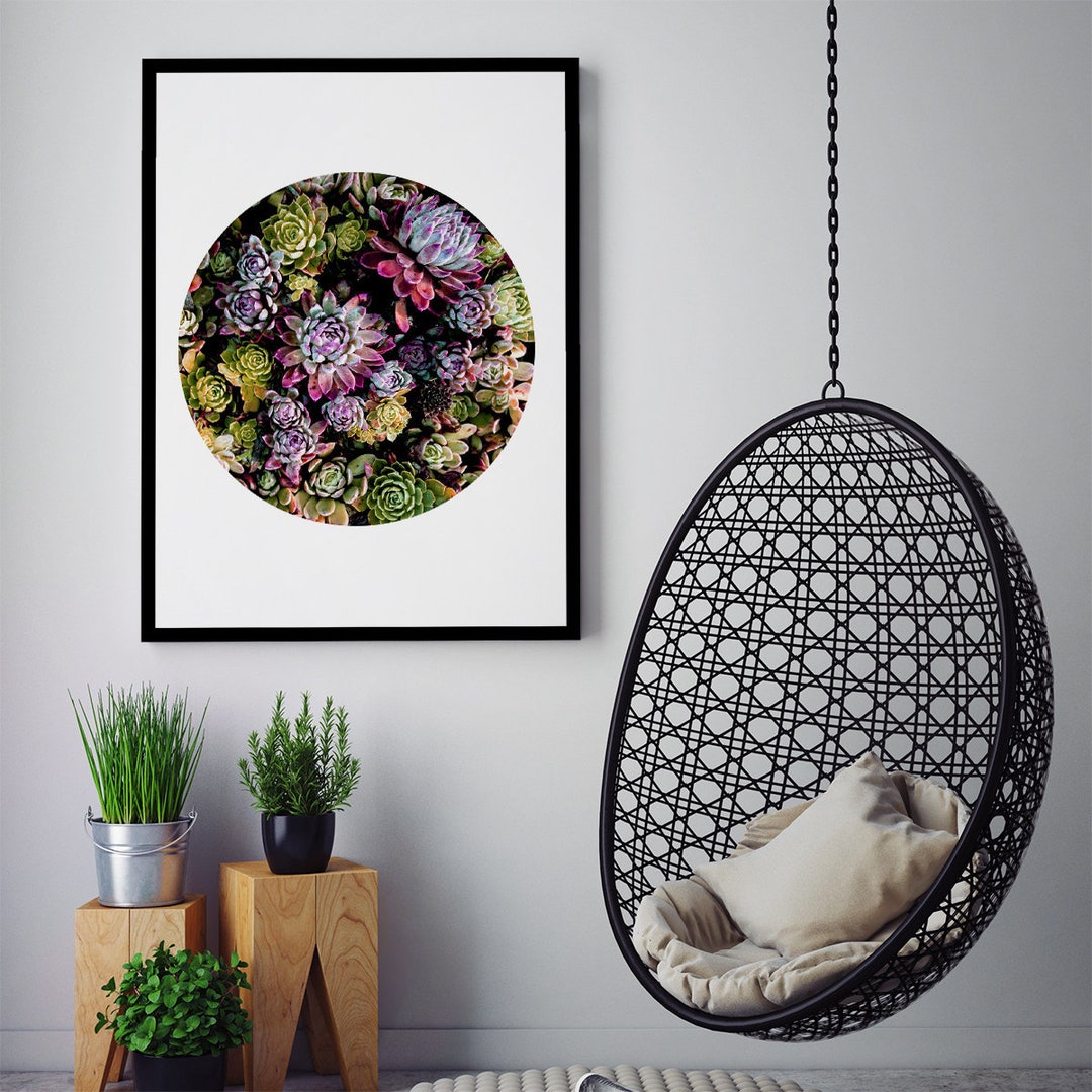 Succulent Circle Print | Geometric Poster | Wall Art Print - Etsy