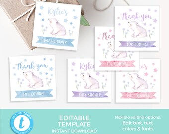 Pink, Purple, Blue Stars Thank you Tag TEMPLATE, Twinkle twinkle little star favor tag EDITABLE favour party tag Printable birthday gift tag