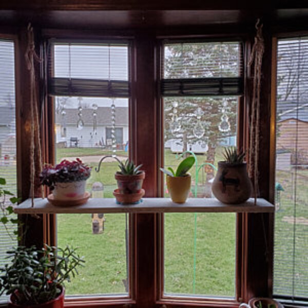 Window Plant Shelf Etsy