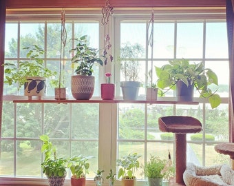 Window clearance plant hangers