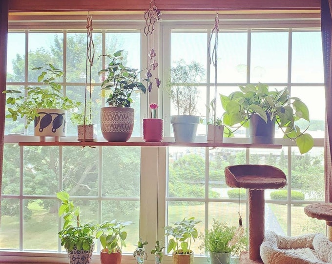 Window Plant Shelf, Hanging Plant Shelf, Herb Shelf, Suspended Shelf