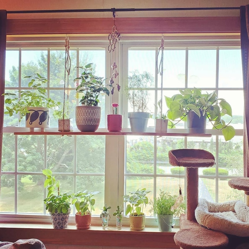 Window Plant Shelf Hanging Plant Shelf Herb Shelf