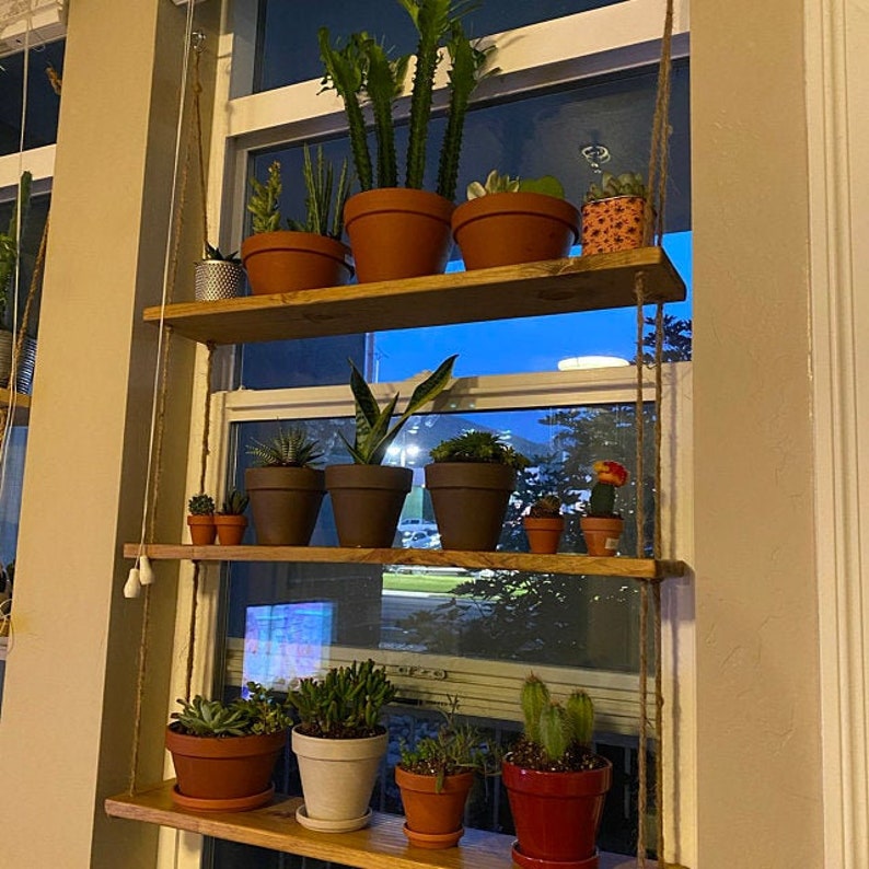 plant shelf in front of window