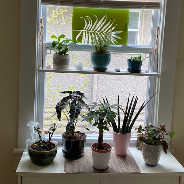 Window Herb Shelf, Hanging Succulent Shelf, Custom Shelf - Measurements required to make custom shelf up to 40" wide!