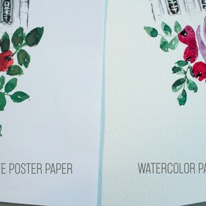 May include: Two watercolor paintings of a rose with red berries and green leaves. The painting on the left is on matte poster paper and the painting on the right is on watercolor paper. The text "MATTE POSTER PAPER" is below the painting on the left and the text "WATERCOLOR PAPER" is below the painting on the right.